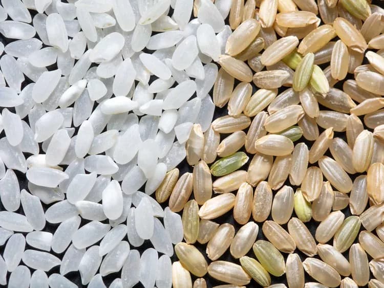 Rice Varieties